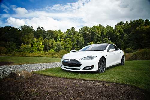 vehicle white tesla parked on green grass lawn during day time sports car