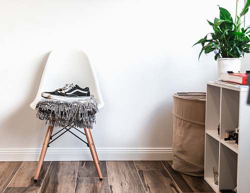 plant pair of black-and-white Vans low-top sneakers on top of chair planter