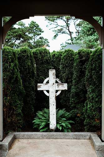 emblem white cross surrounded by plants fern