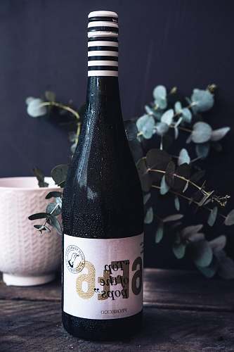 beverage Prosecco wine bottle on table bottle