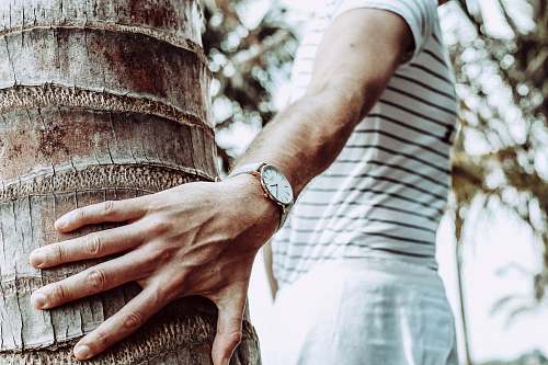 human person in white shirt holding tree trunk person