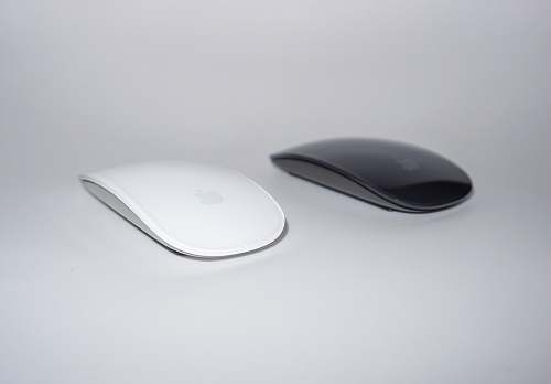 computer two black and white cordless mouse close-up photography mouse