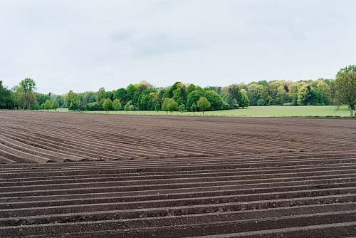 trees soil and valley farm