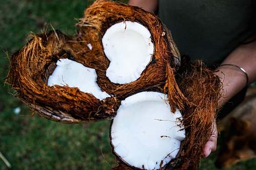 food person holding coconut husks coconut
