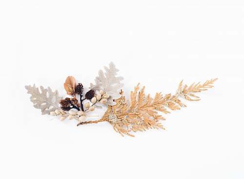 white brown and gray leaves with white flower decor background