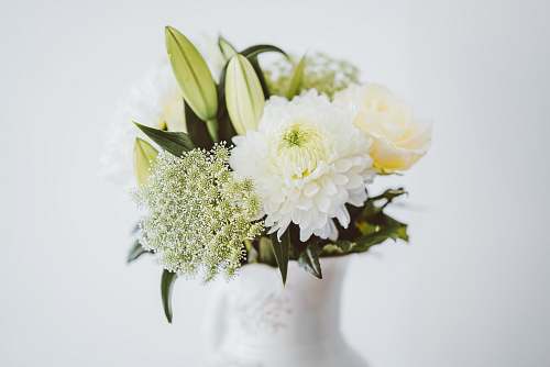 vase flower arrangement selective focal photo art