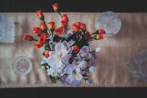 arrangement orange and white flowers on the table floral