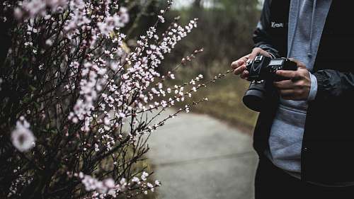 person person holding black camera beside white flowers photographer