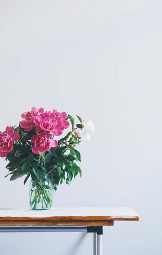 vase pink flowers in glass vase plant