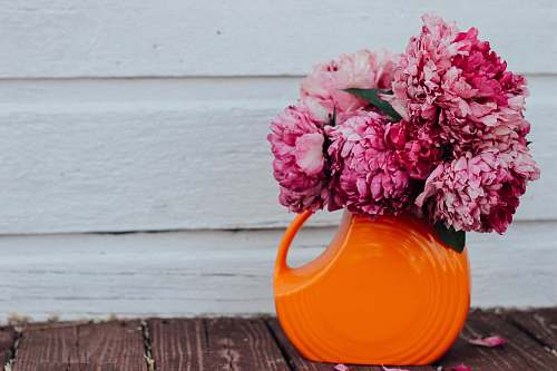 blossom pink flowers on orange ceramic vase peony
