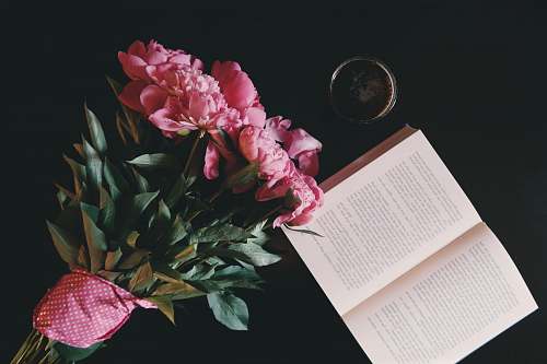 book pink petaled flowers bouquet flowers