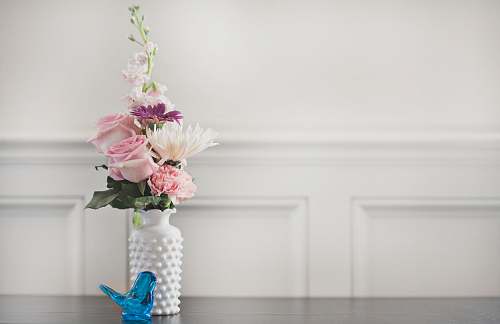 plant pink rose flower in vase vase