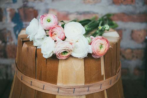 flowers white and pink roses on brown wooden bucket flora