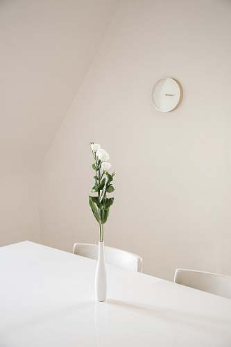 table white flowers in white ceramic vase on top of white table interior
