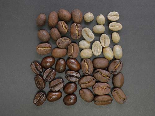 coffee brown coffee beans bean