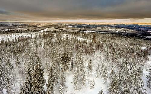 hagfors aerial photography of snow covered green leaf trees under cloudy sky sweden