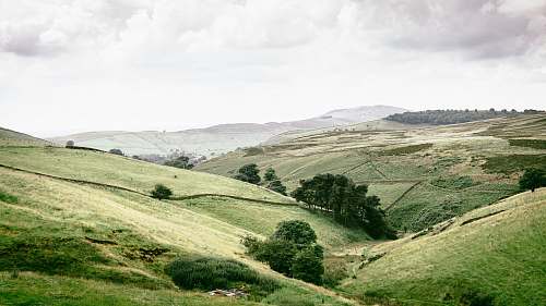 landscape green mountains trees