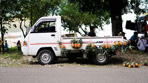 pineapple pineapples hanged on dropside truck flora