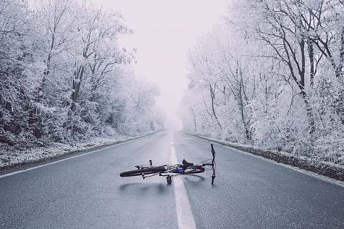 winter bicycle on road between trees photography road