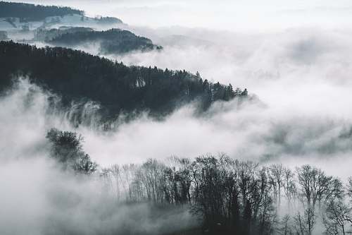 nature bird's eye view photography of trees and mountains with fog fog