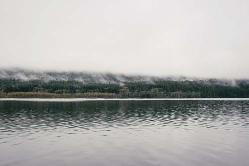 nature body of water near green trees under cloudy sky water
