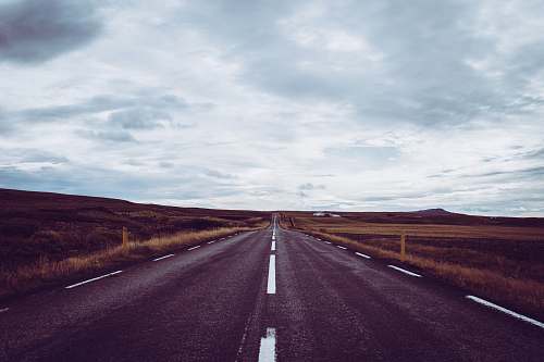 road gray concrete road surrounded by grass fields iceland