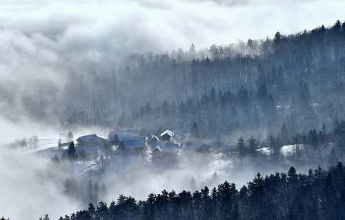 cloud houses surrounded by trees and fog fog