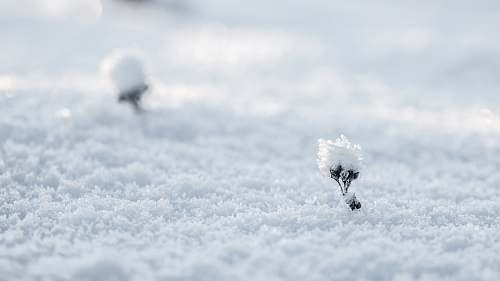 sweden selective photography of snow vuollerim