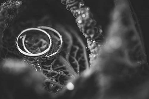 black-and-white wedding ring set accessories