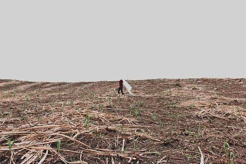 soil  nature