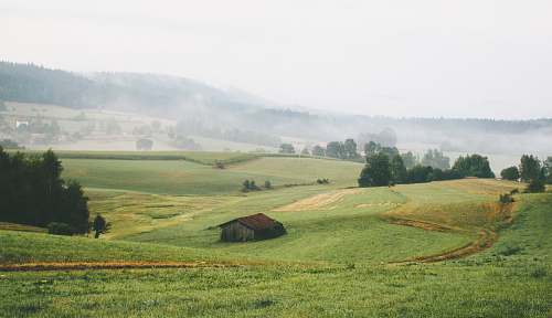 field house surrounded by grass during daytime nature