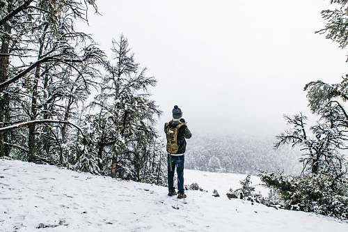plant man standing on field covered with snow tree