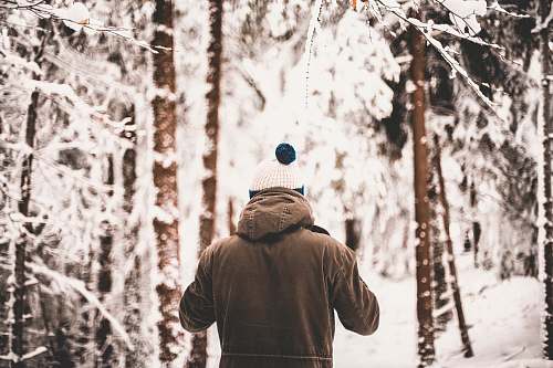 person person standing in middle of trees covered in snow people