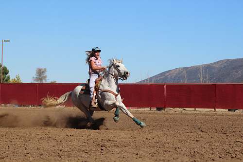 horse woman riding horse during daytime equestrian