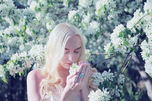 person woman smelling flower during daytime people