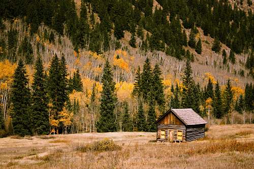 cabin brown wooden cabin shack