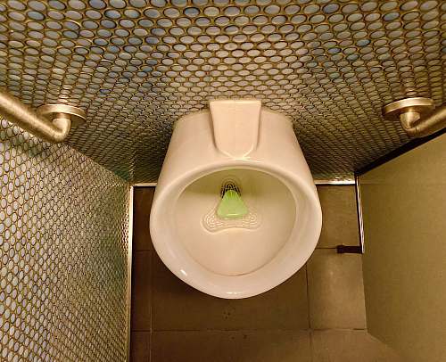 room urinal and metal handle bars toilet