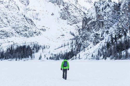 tree person in green jacket walking toward snow covered mountain braies lake