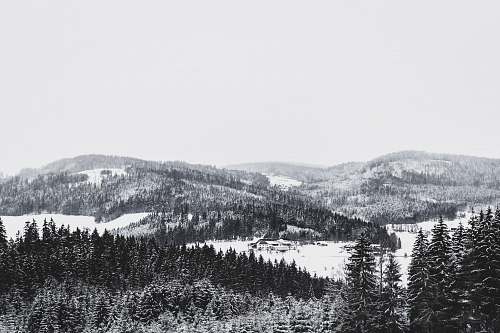 mountain photography of snow covered mountain and forest during daytime forest