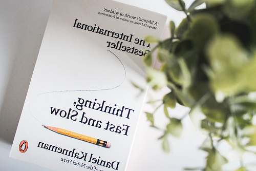 text Thinking Fast and Slow book by Daniel Kahneman paper