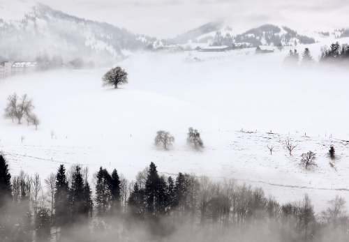 fog aerial photography of trees in snow landscape