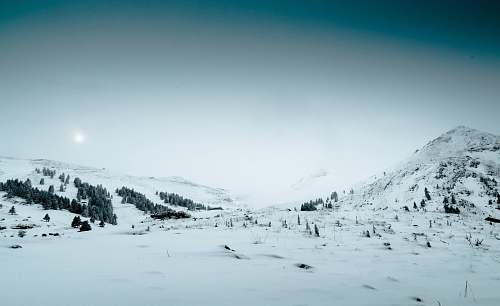 nature field covered in snow snow