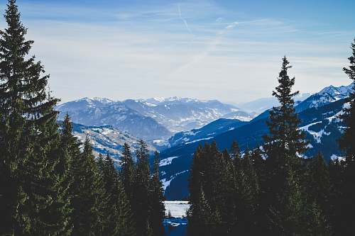 snow green pine trees and blue mountains under blue sky tree