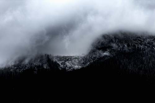cloud mountain covered with fog trees