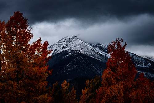 tree mountain under heavy clouds cloud
