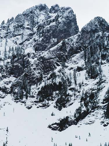 nature snow covered mountain trees