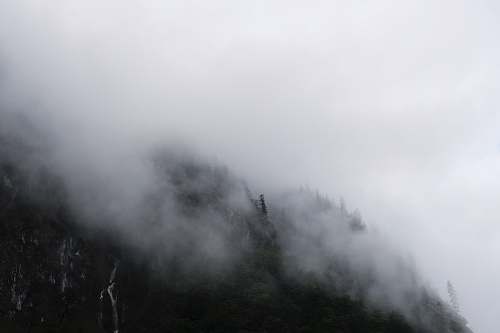 fog  weather
