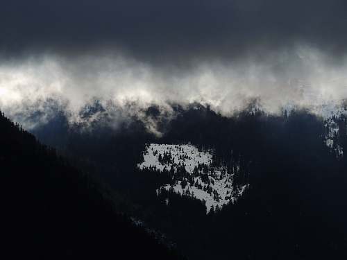 cloud green pine trees under gray and white clouds weather