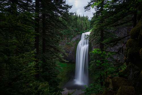 water green trees near waterfalls during daytime waterfall