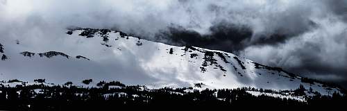 animal mountain covered with snow outdoors